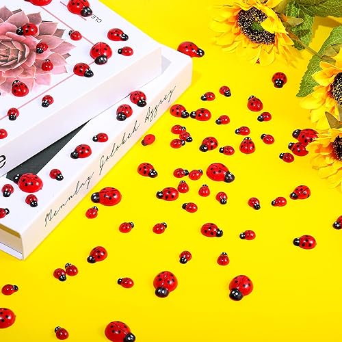 Miniatura 4 de Hicarer 100 piezas de decoración de mariquita de resina con parte trasera plana, mini adornos de epoxi con caja para manualidades, caja de