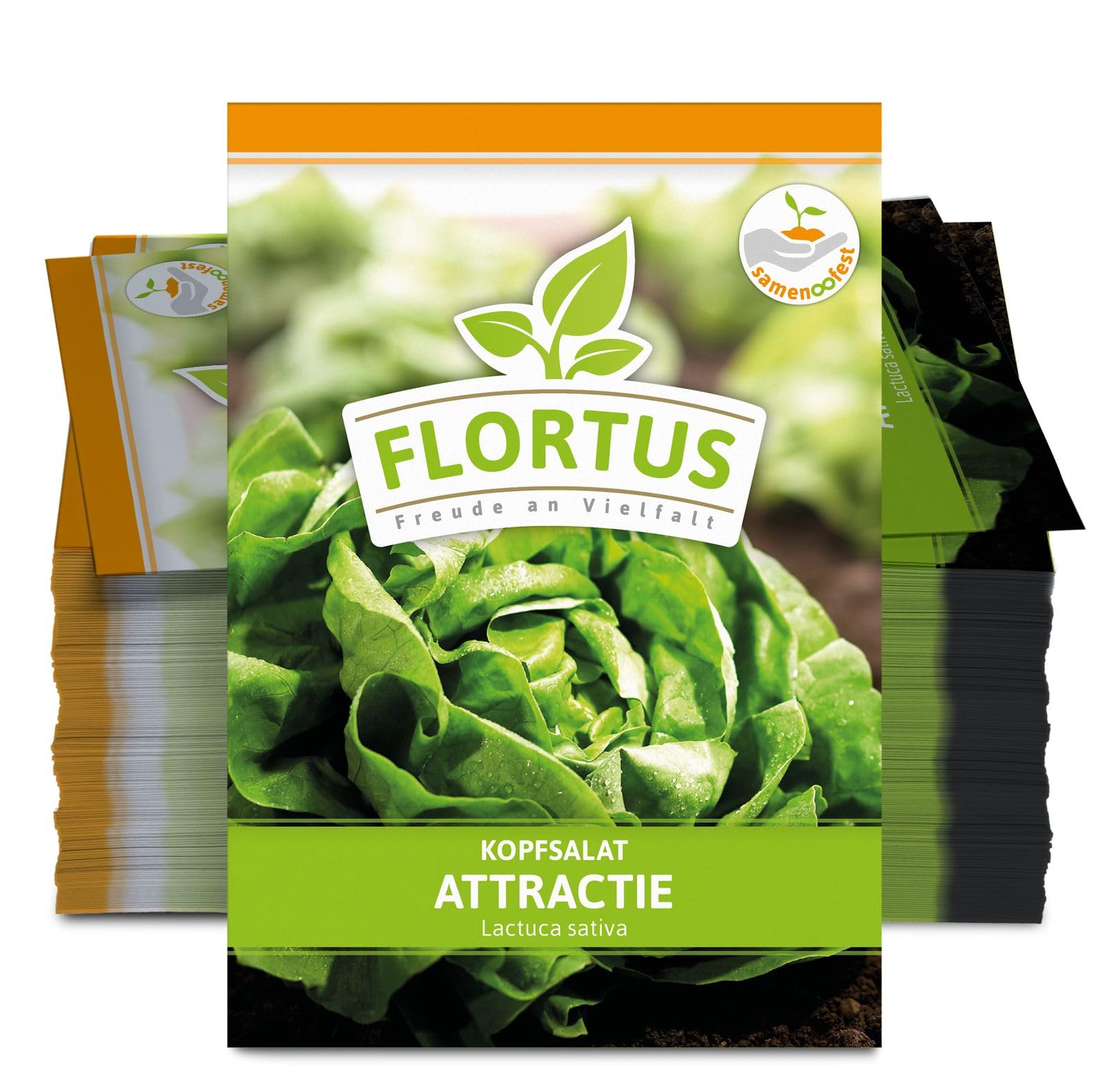 FLORTUS 2000-0478-100x Kopfsalat Attractie (100 Stück) (Kopfsalatsamen)