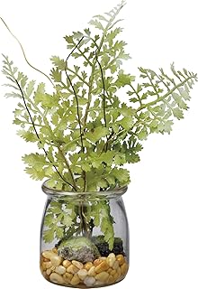 Primitives by Kathy Small Maidenhair Fern Glass Jar Planter