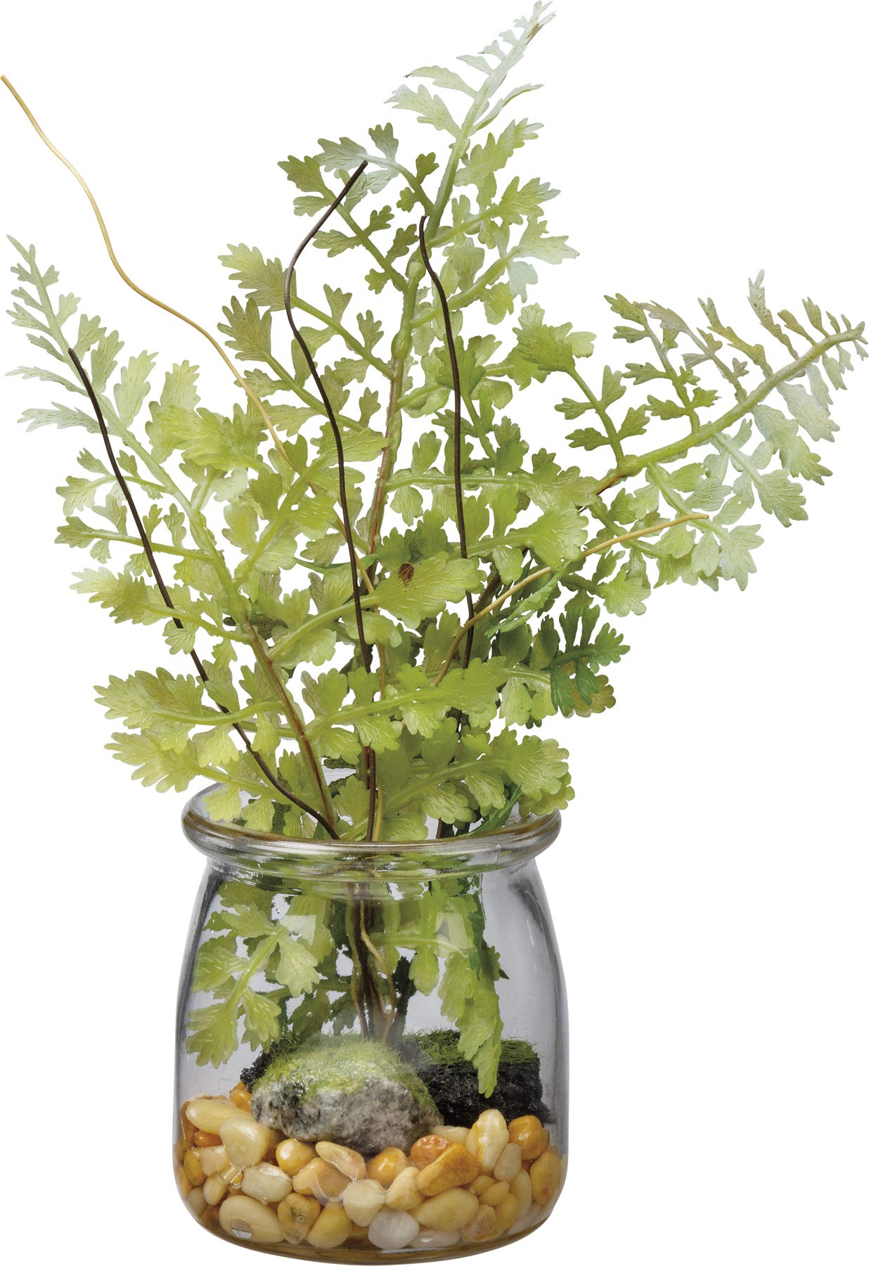 Pot de fleurs en verre fougère pour végétaliser un petit espace