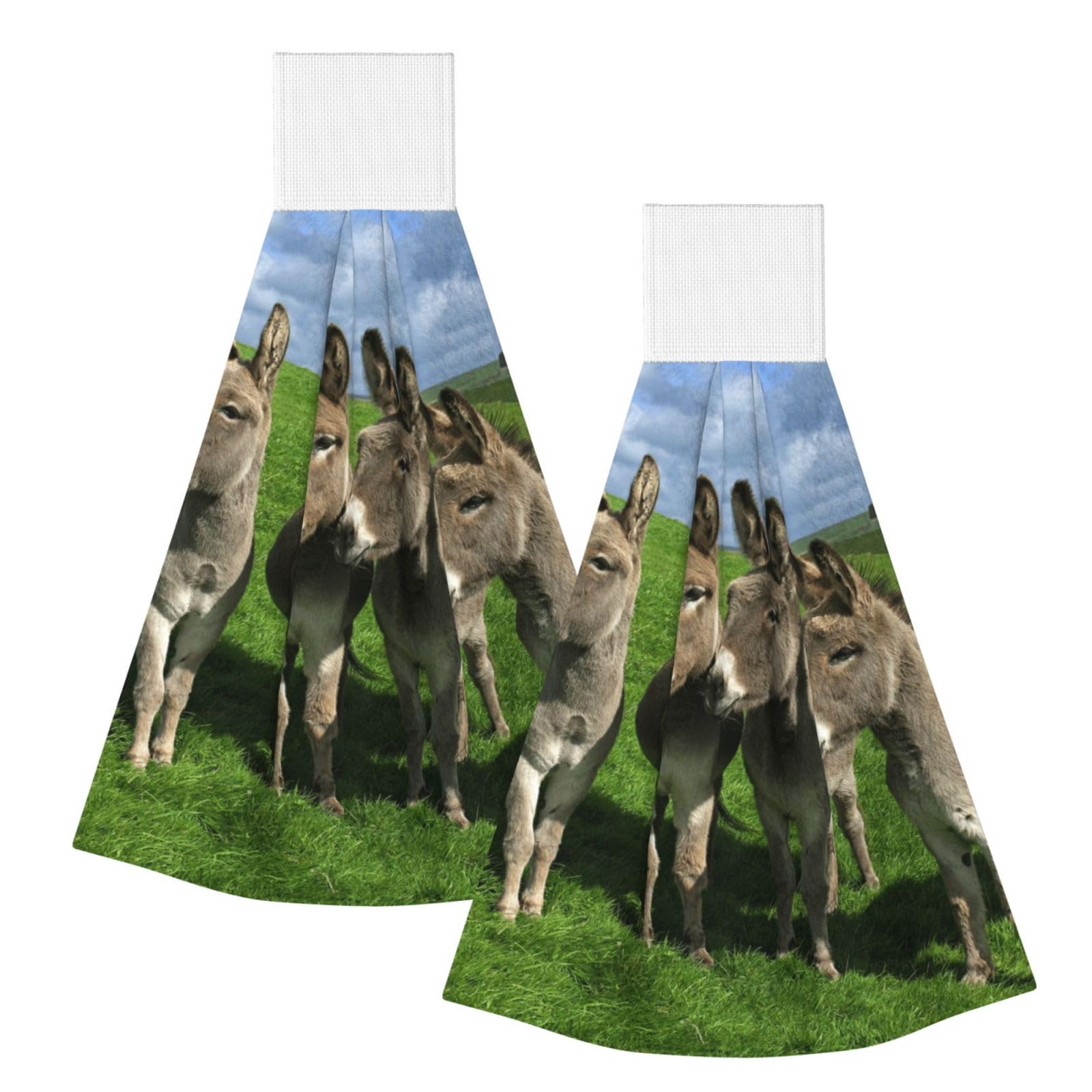 DOPKLNA Small Donkey Meadows, 2 Pcs Hanging Coral Fiber Hand Towels for Bathroom, Absorbent Kitchen Towels
