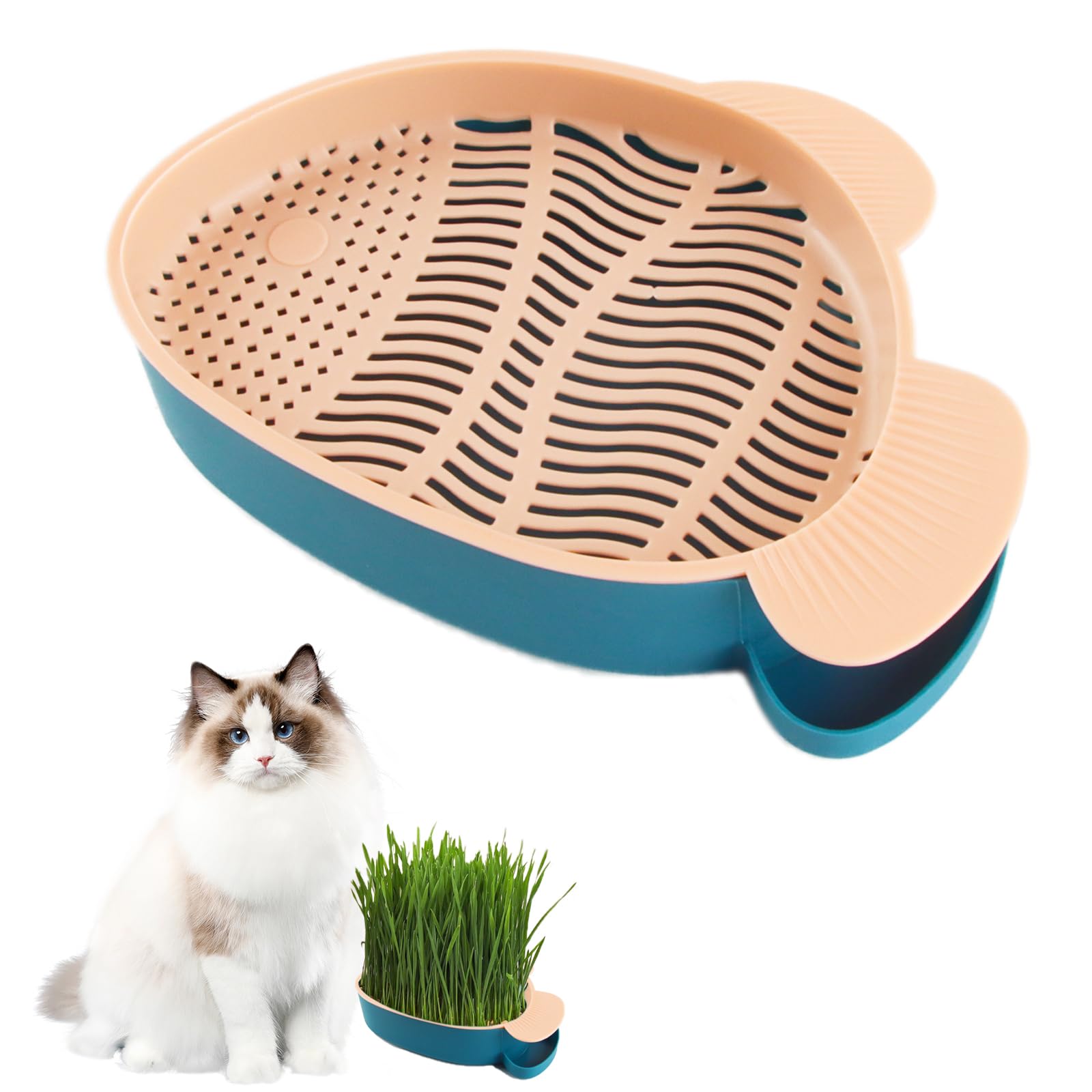 2x Katzengras Keimschalen Set Mit Schere & Sprühflasche - Hydroponik Anzucht