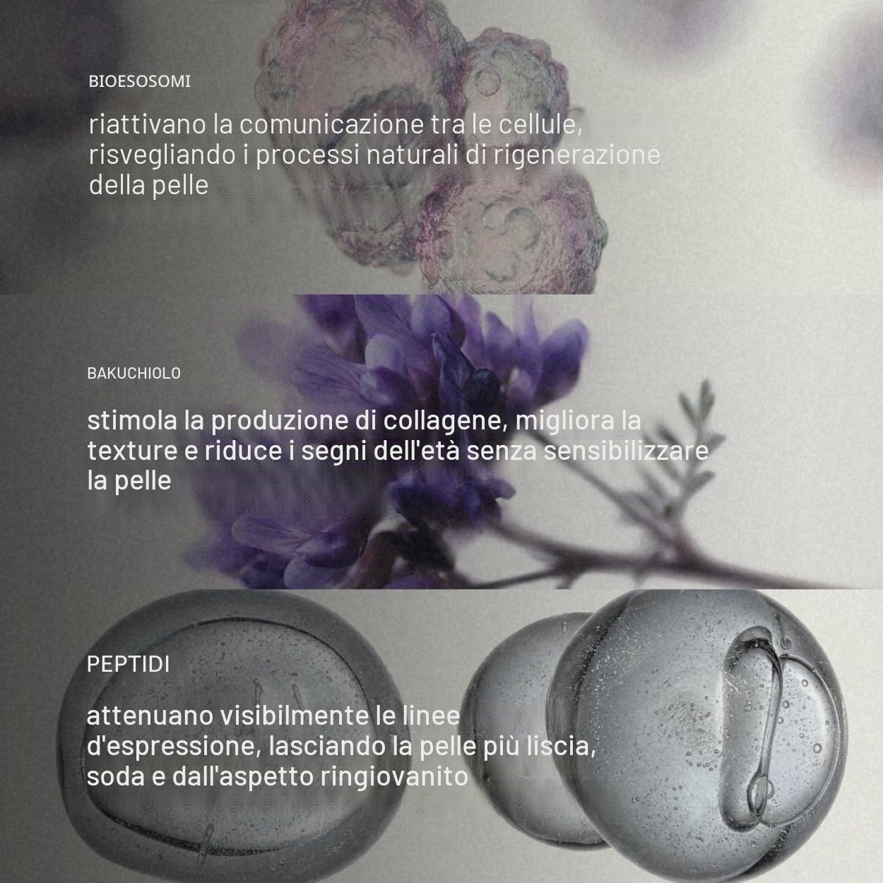 Crema viso idratante con esosomi e Bakuchiol | Crema viso antietà con peptidi | Miglioramento aspetto delle rughe e fermezza | Idratazione intensa e pelle uniforme | 50 ml
