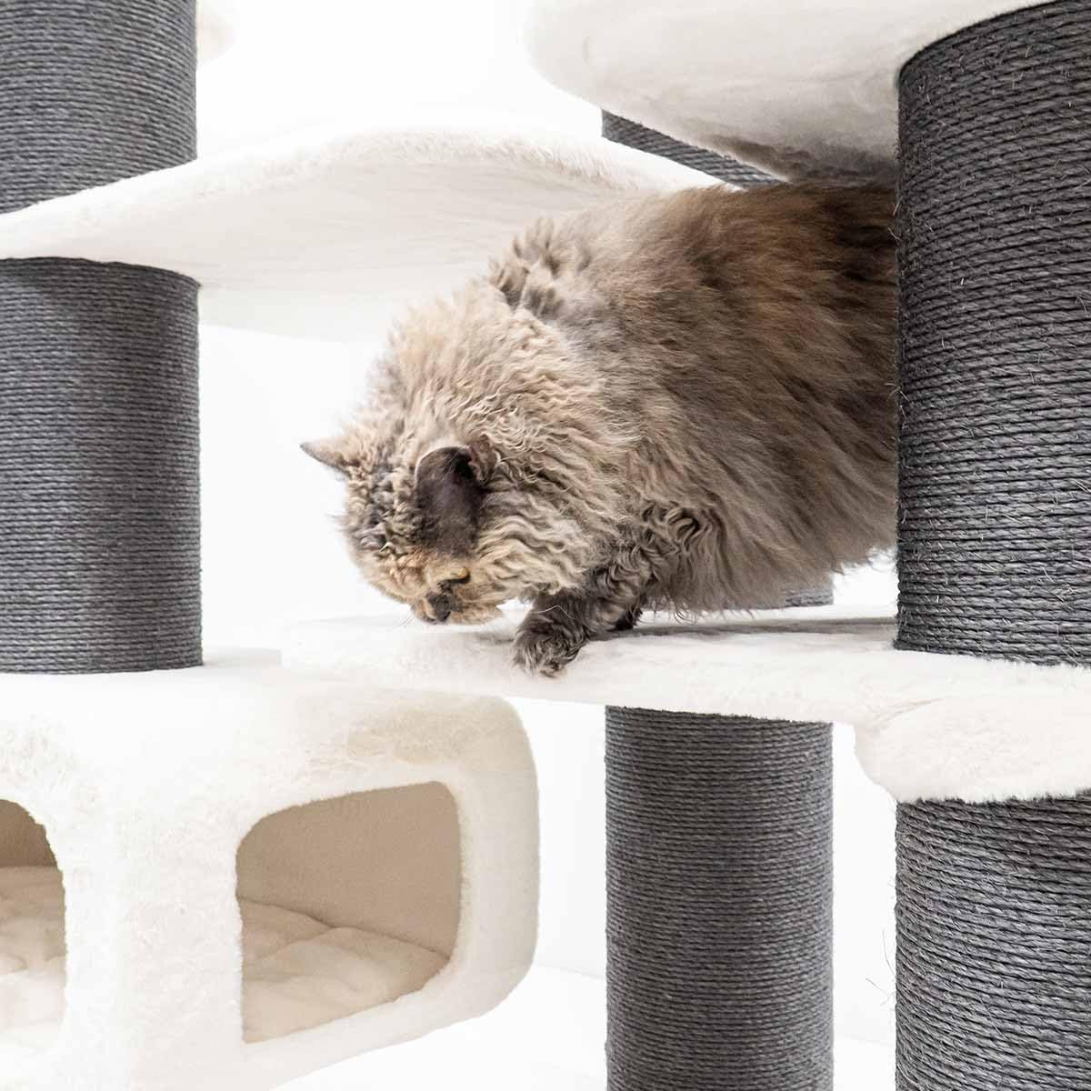 Petrebels Drapak XXL Bengal 199 cm wysokości, wzór Maine Coon drapak dla dużych kotów, kolor biały