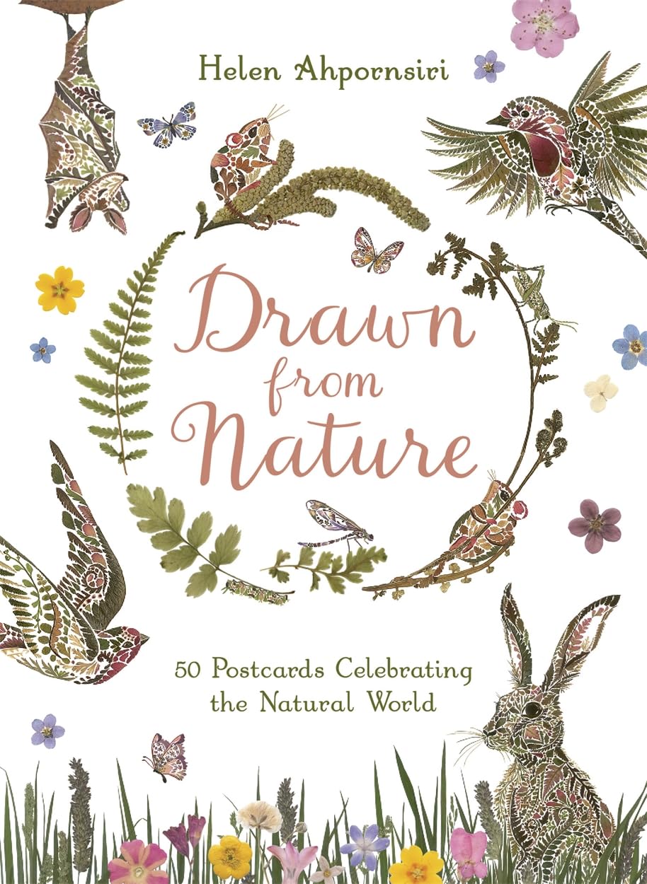 Drawn From Nature: 50 Postcards Celebrating the Natural World