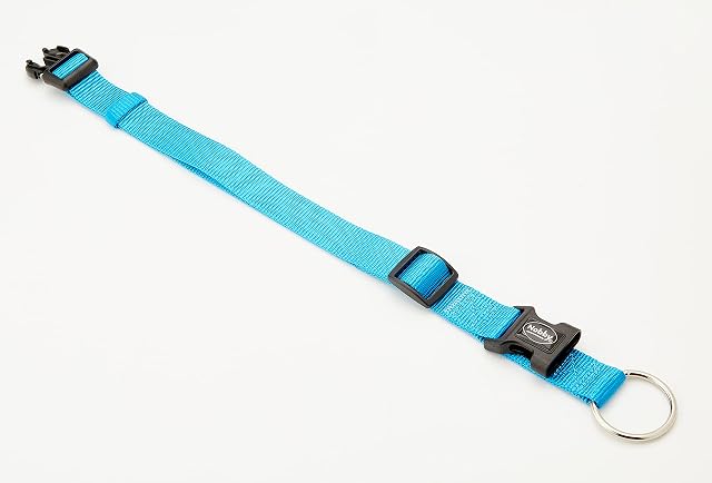 Foto 5 de 5 de Nobby Collar para Perros - Classic