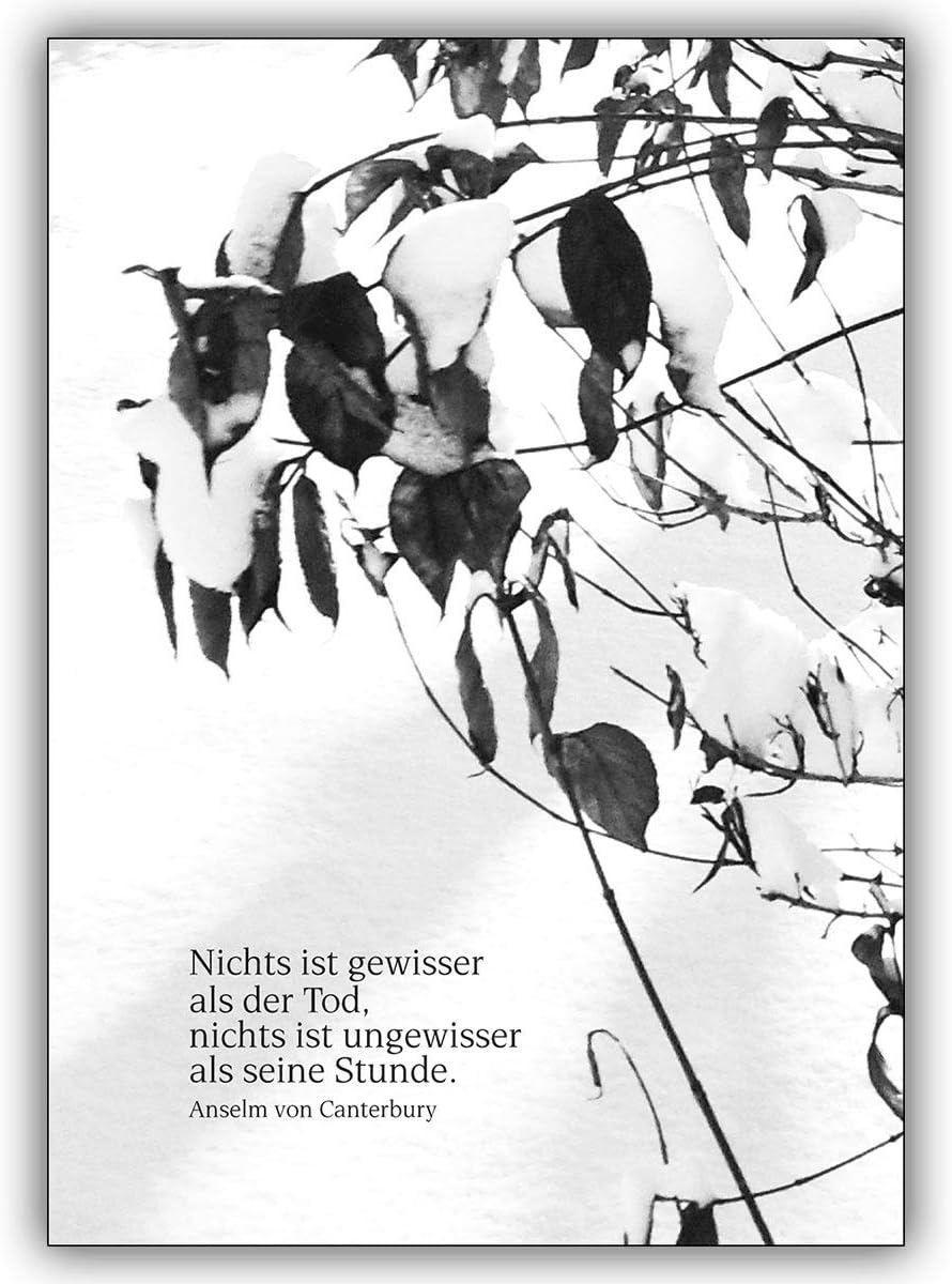 16 Stück Foto Trauerkarte mit Beileids