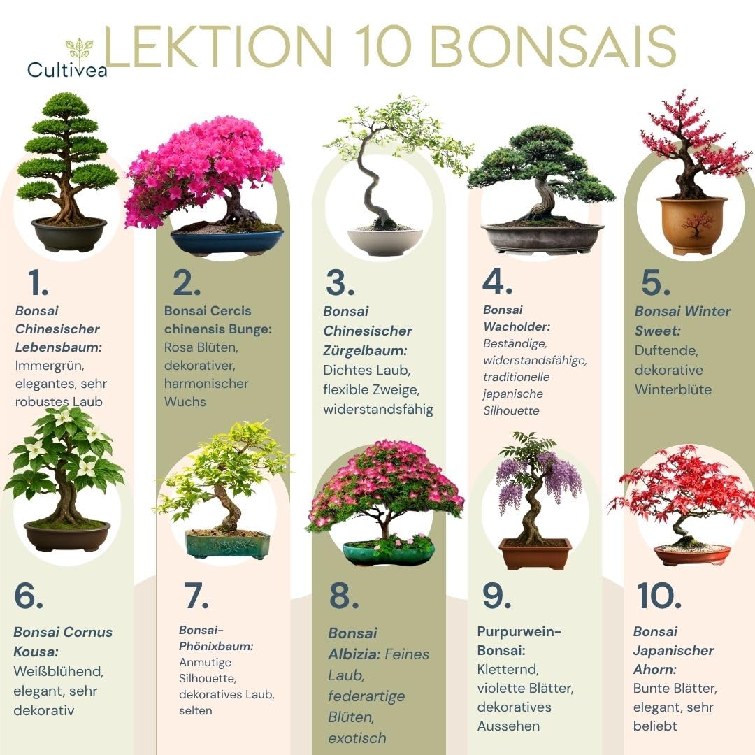 CULTIVEA® Bonsai Anzuchtset – 10 Bäume zum Selbst Anpflanzen – Komplettes Bonsai Starter Kit mit Samen, Töpfen & Werkzeug – Bonsai Anzucht Set für Anfänger – Geschenkidee für Gartenfreunde