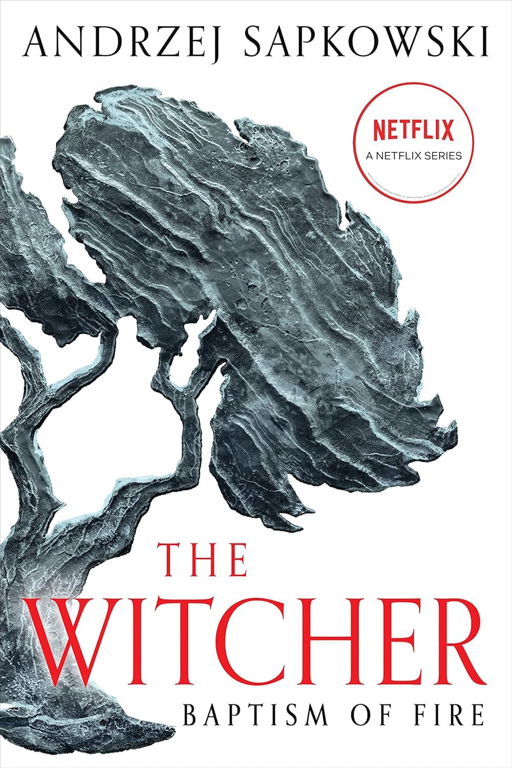 The Witcher Saga 8 - Book Collector's Edition by Andrzej Sapkowski.
