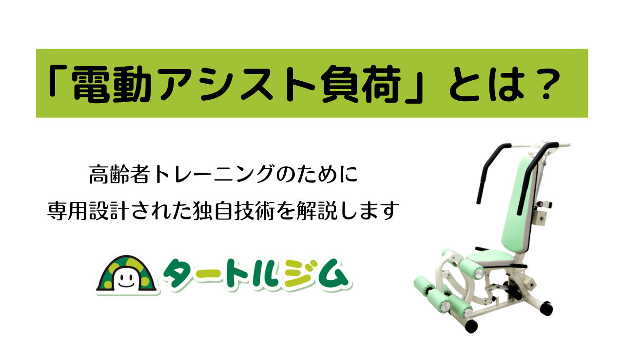 Amazon | TURTLE GYM (タートルジム) ver4.0 自分の筋力に合わせて