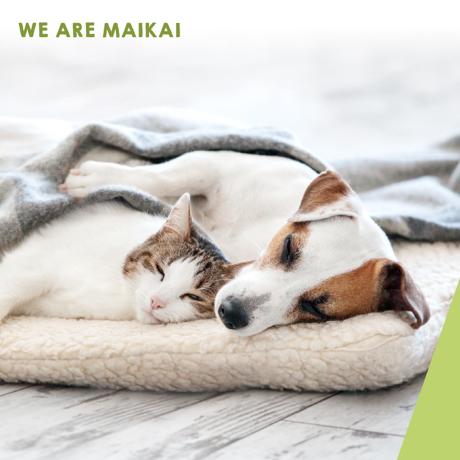 MAIKAI Probióticos para Perros y Gatos - Apoyo Digestivo + Inmunológico Natural - Antidiarreico en Polvo con Omega 3 + Boldo + Coenzima Q10 - Suplemento 150 g para Flora Intestinal y Defensas