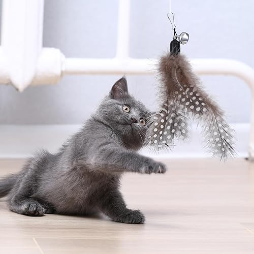Miniatura 5 de 12 piezas de repuesto de juguetes de plumas para gatos, varita de plumas para gatos con campanas, reemplazo de plumas interactivas para gatos