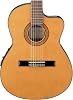 Ibanez GA5TCE Thinline AM - Amber Slim Case Electro Classic Guitar
