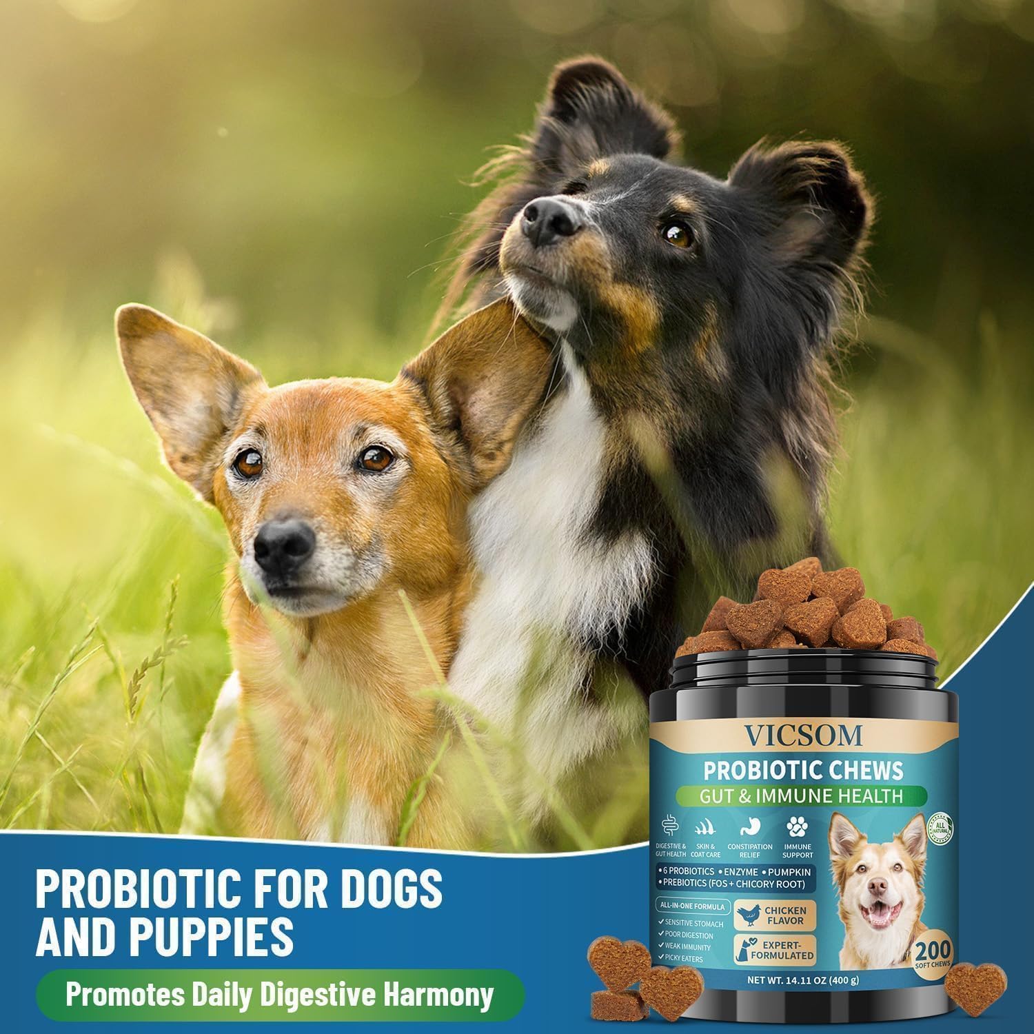 Dog Probiotics for Dogs, 200 Soft Probiotics Chews for Dogs Digestive Health Gut Health & Immune System, with 6 Probiotics & Digestive Enzymes, Support Itchy Skin, Constipation & Diarrhea Relief - image 8