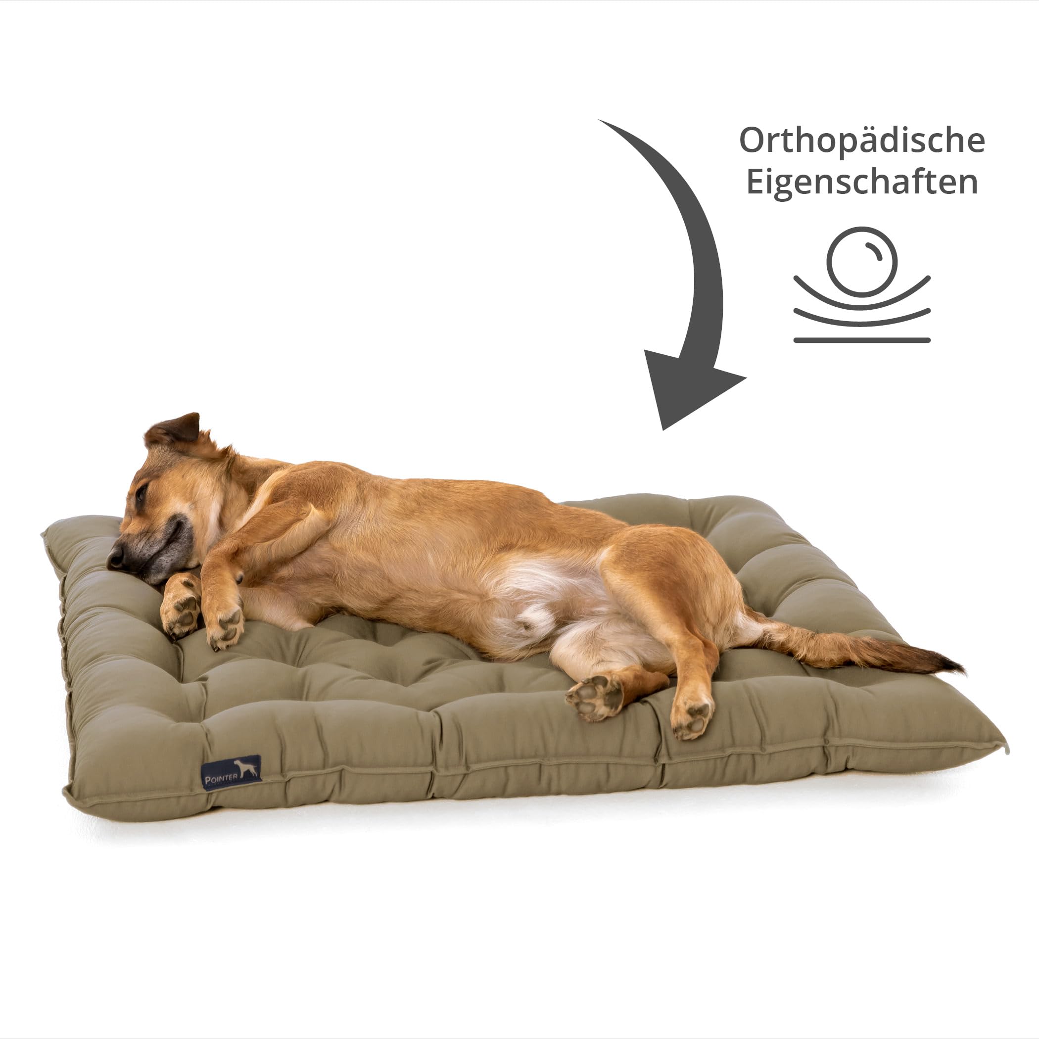 Pointer, Cuscino e Cuccia per Cani, Ortopedico, Adatto Anche per uso Esterno, Resistente ai Graffi, Completamente Lavabile a 95 °C, M, Cachi