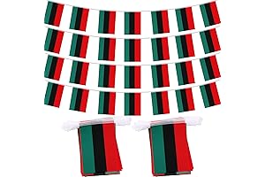 Batiyeer 2 Strings 100 ft 76 Flags Juneteenth Flag Banner Decor Afro...
