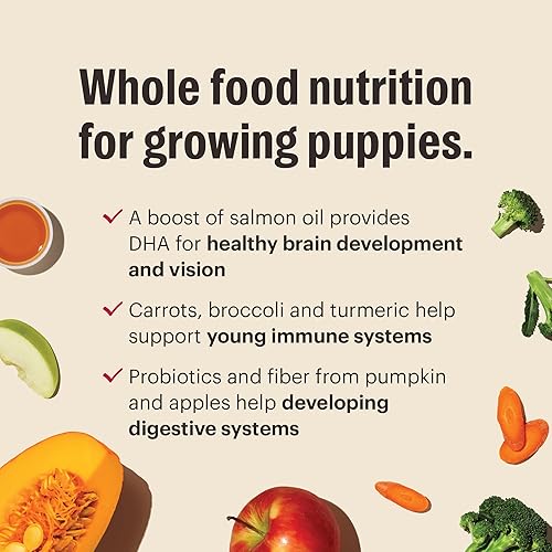 Miniatura 6 de The Honest Kitchen Whole Food Clusters - Alimento seco para perros de pollo integral para cachorros, bolsa de 1 libra