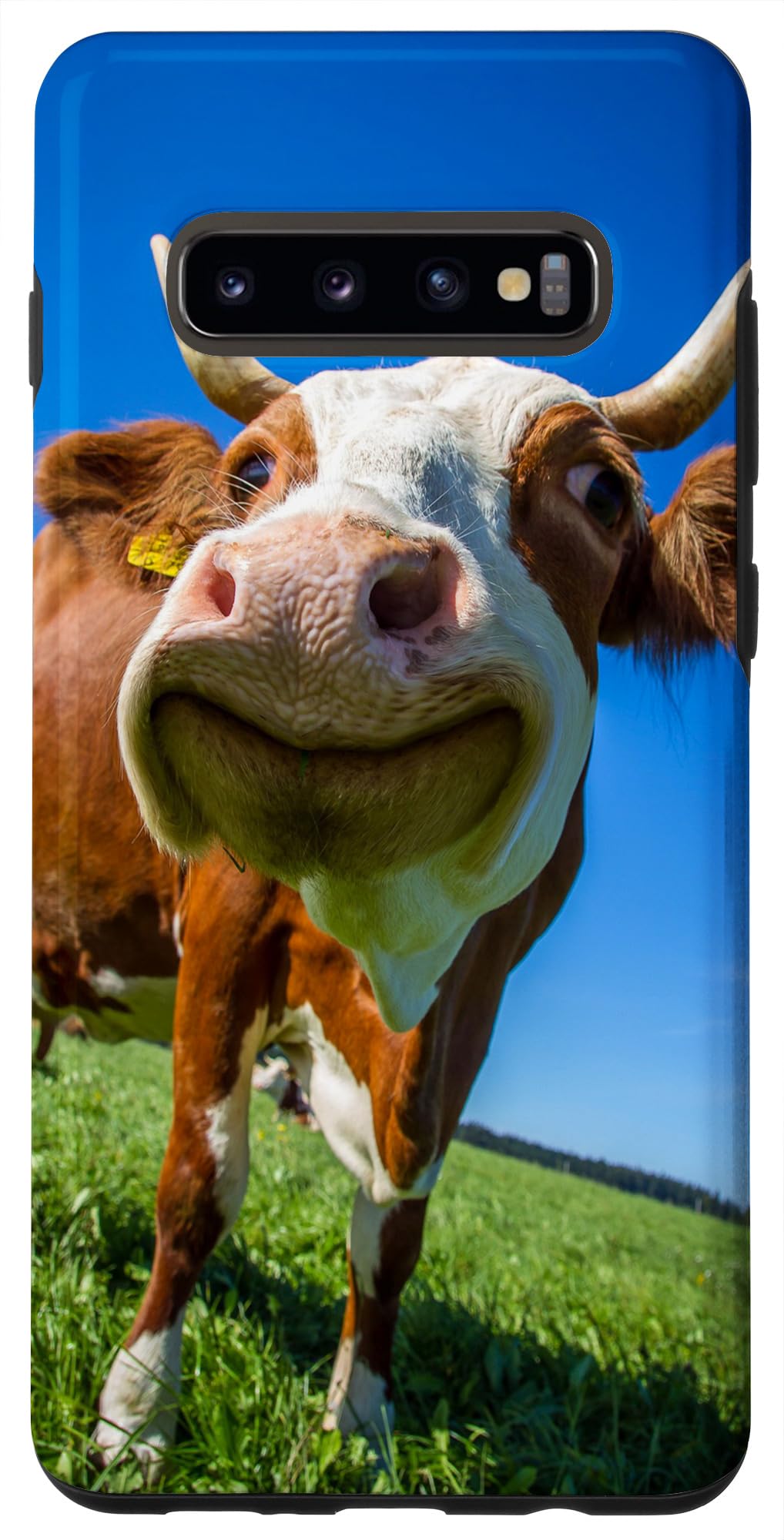 Funny Cow Smiling