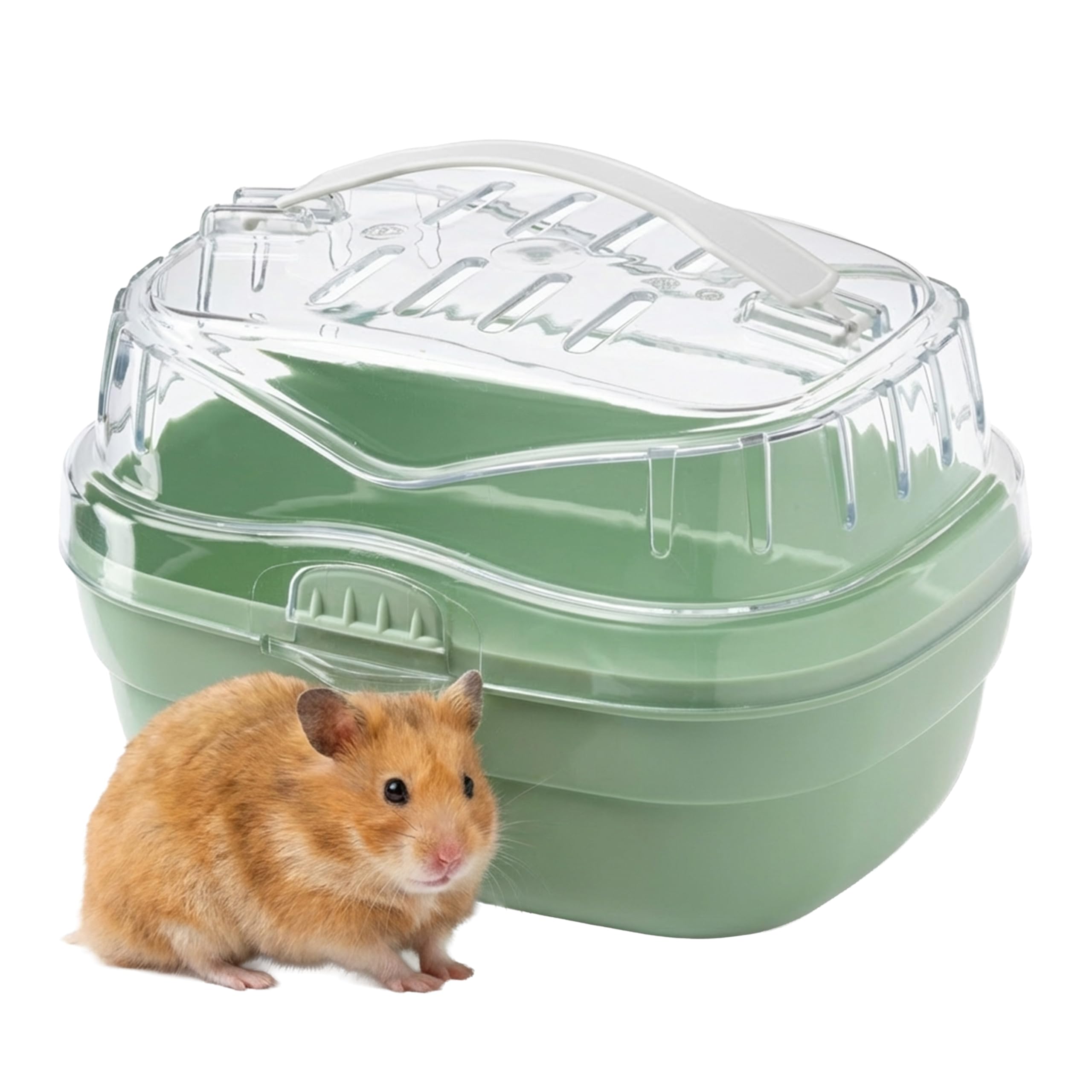 Ferplast Transport pour Hamsters et Autres Petits rongeurs ALADINO Small Cage de Transport pour Petits Animaux, rongeurs, Hamsters, 20 x 16 x h 13,5 cm, Vert