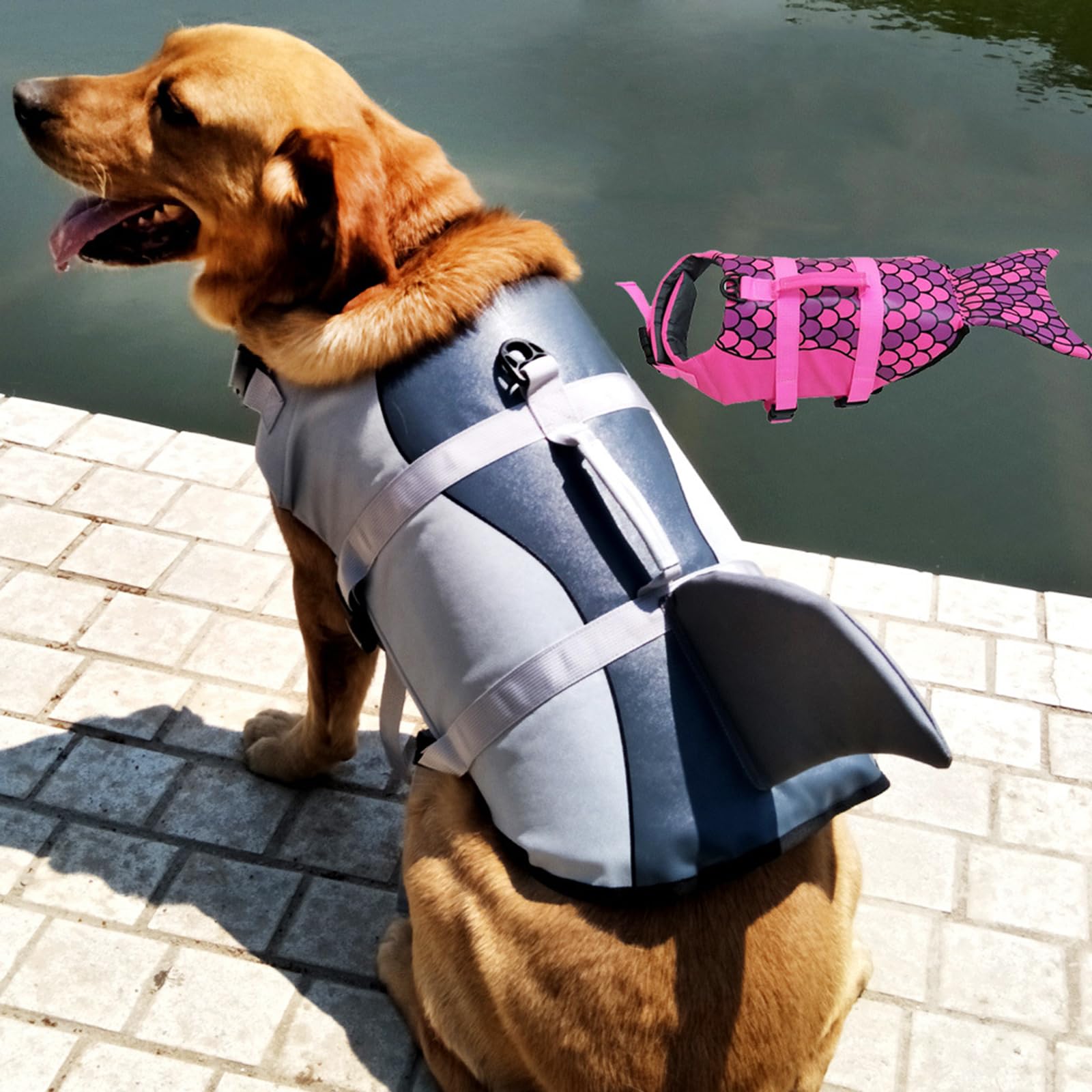 Gilet de Sauvetage pour Chien Ripstops, Gilets de Sauvetage Mignons, vêtements de flottabilité pour Animaux de Compagnie, Natation, Bateau, Requins, Manteau de Sauvetage pour Chien avec poignée de