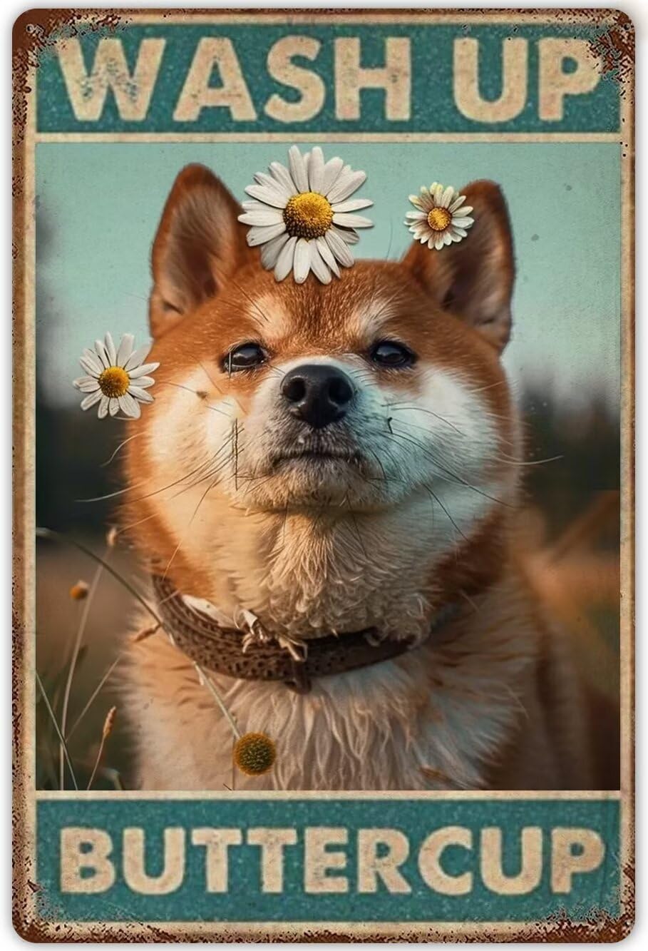 Anceky Shiba Inu Wall Art Canvas Unframed Funny Bathroom Signs Wash Up Buttercup Modern Print Posters Vintage Canvas Paintings Wall Decor For Cafe Farm Bedroom Bathroom Unframed 8x12 Inch