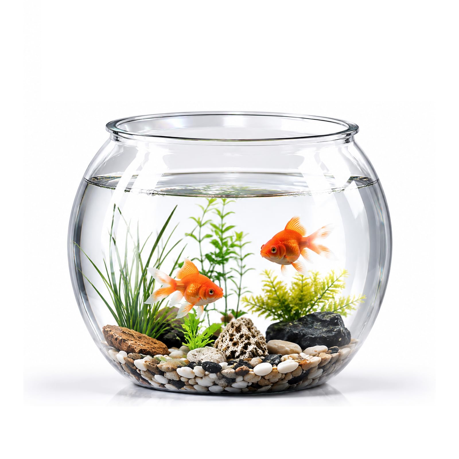 VELORIEX 金魚鉢 丸型水槽 透明プラスチック 小型水槽 直径20cm 金魚 メダカ 亀 エビ 飼育 植木鉢 水耕栽培 観葉植物水培容器 耐衝撃 清掃簡単