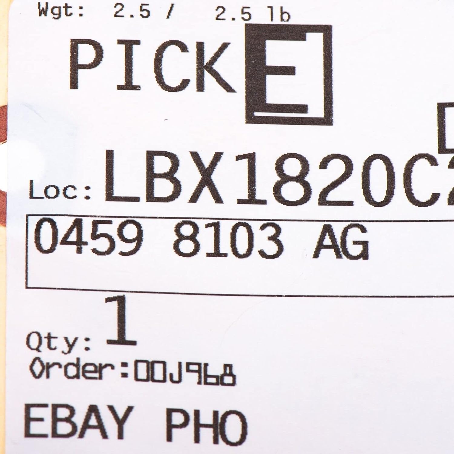 Radiator Outlet Hose