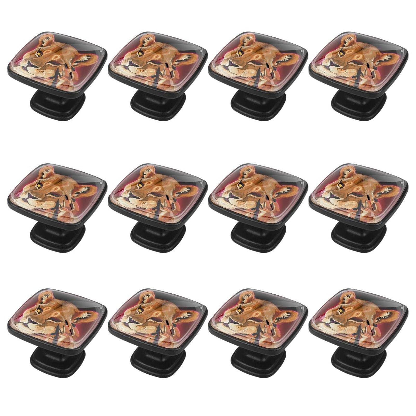 12 paquetes de pomos de mango cuadrado Lion Funny