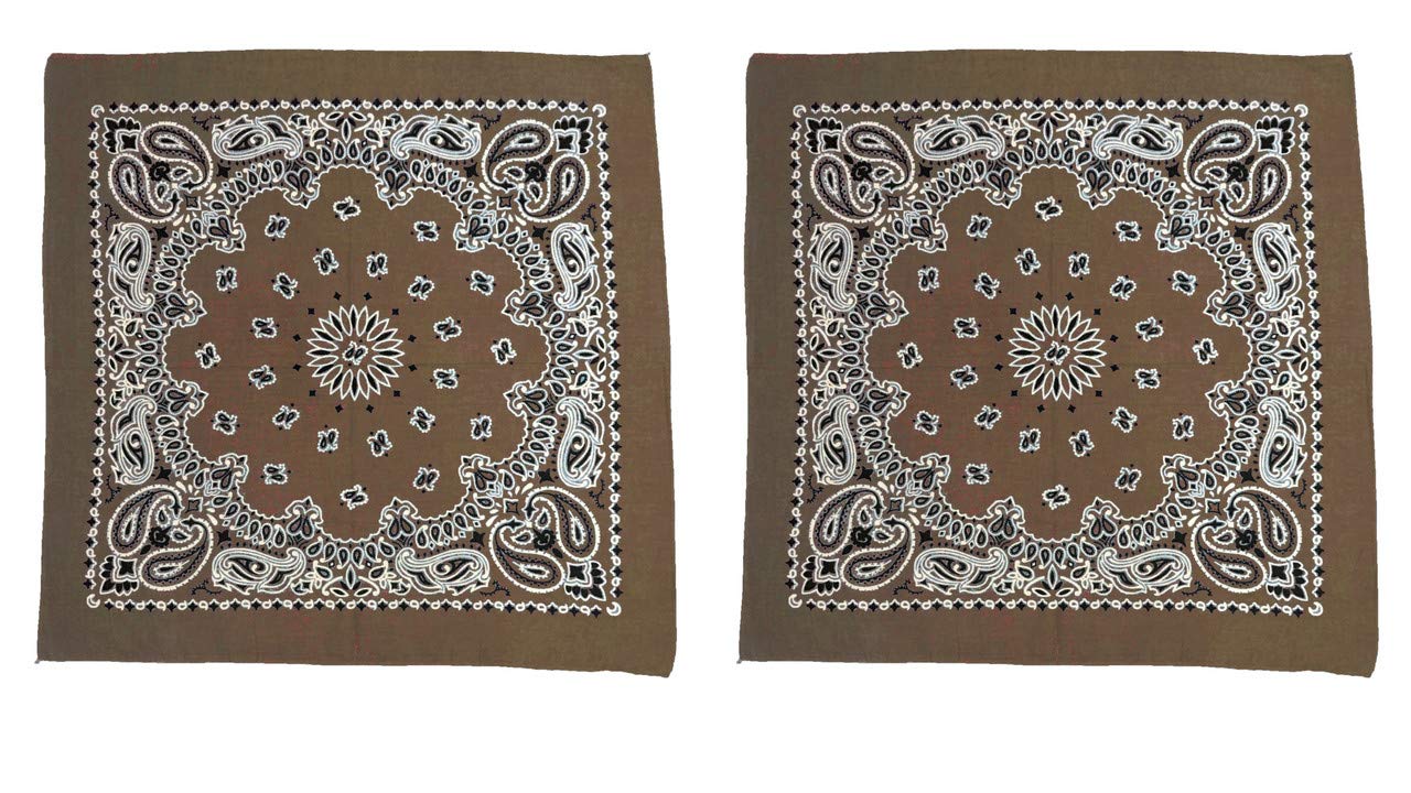 GIRRIJA Men's Cotton Paisley Bandanas (Multicolours, 22" X 22") - Pack of 2 Pieces