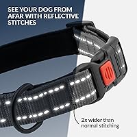 Vista 58 de CollarDirect Reflective Dog Collar for a Small, Medium, Large Dog or Puppy with a Quick Release Buckle - Boy and Girl - Nylon Suitable for Swimming