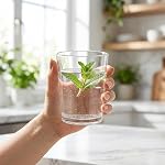 Noamus 12 Oz Plastic Drinking Glasses Set of 9, Unbreakable Acrylic Water Tumblers, Reusable Shatter-Proof Clear Glasses, Whiskey Drinkware Cups Set for Party Kitchen, Iced Water Tea Coffee, BPA Free