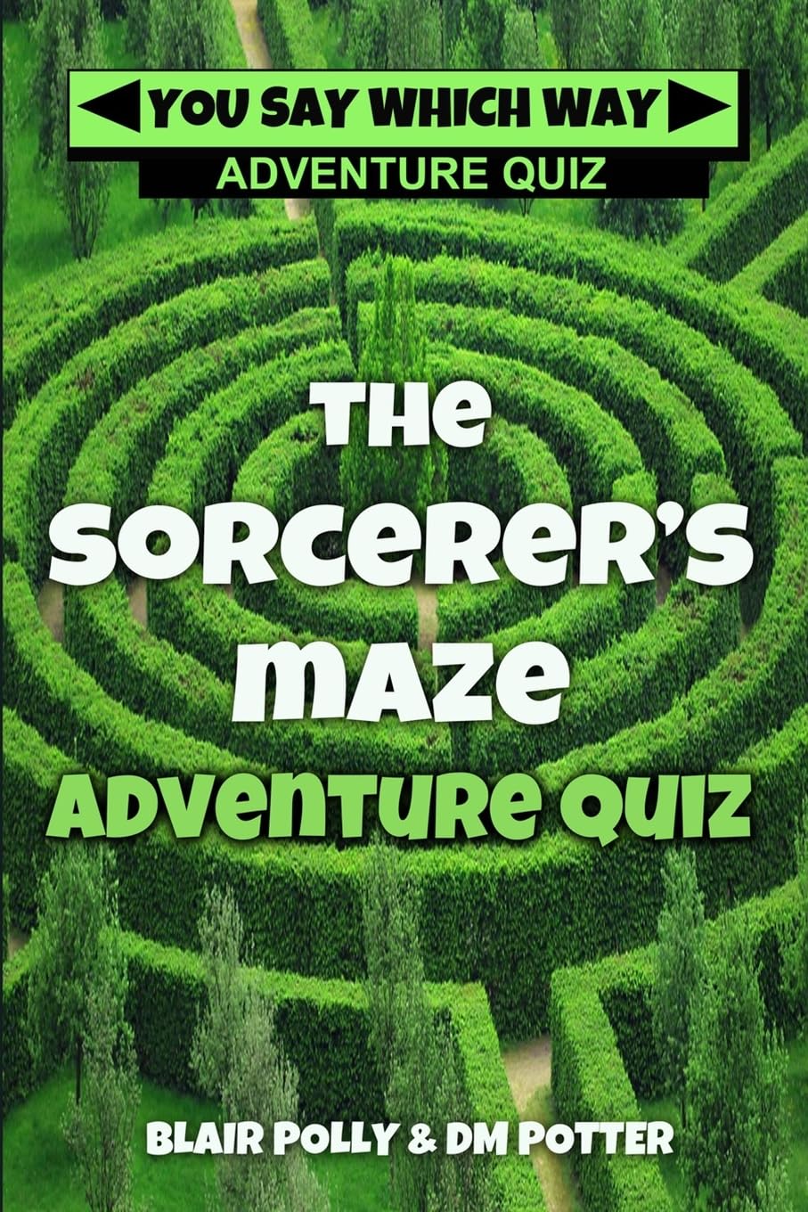 The Sorcerer's Maze: Volume 1 (You Say Which Way Adventure Quiz)