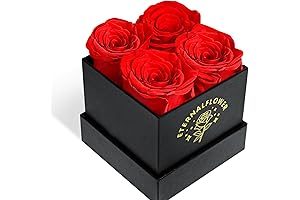 Preserved Rose Gift Box: Eternal Flowers for Special Occasions