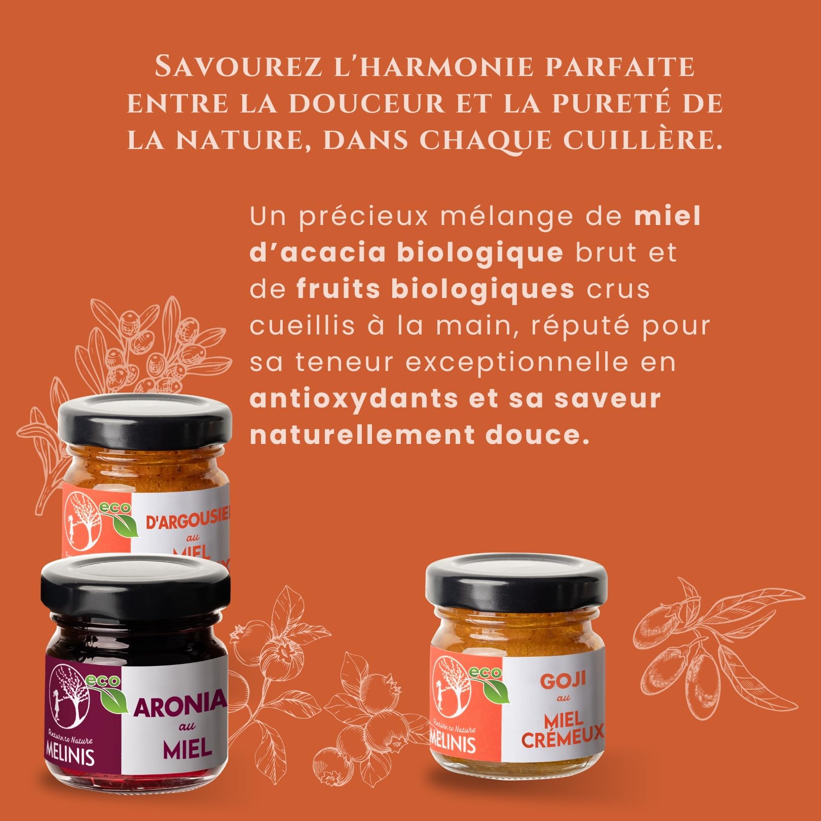 Coffret Dégustation “Explosion de Vitamines” 3 × 40 g – Miel Bio Tartinable à l’Argousier, à l’Aronia et au Goji – Sans Sucre Ajouté – Pour Petit-Déjeuner, Snacks et Cadeaux Gourmands – Melinis