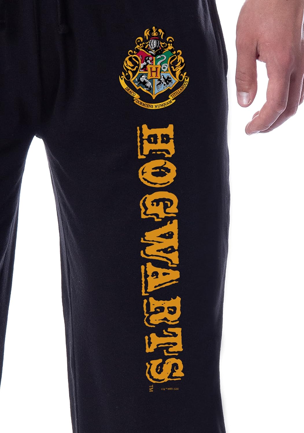 INTIMO Harry Potter Mens' Hogwarts All Houses Sleep Jogger Pajama Pants