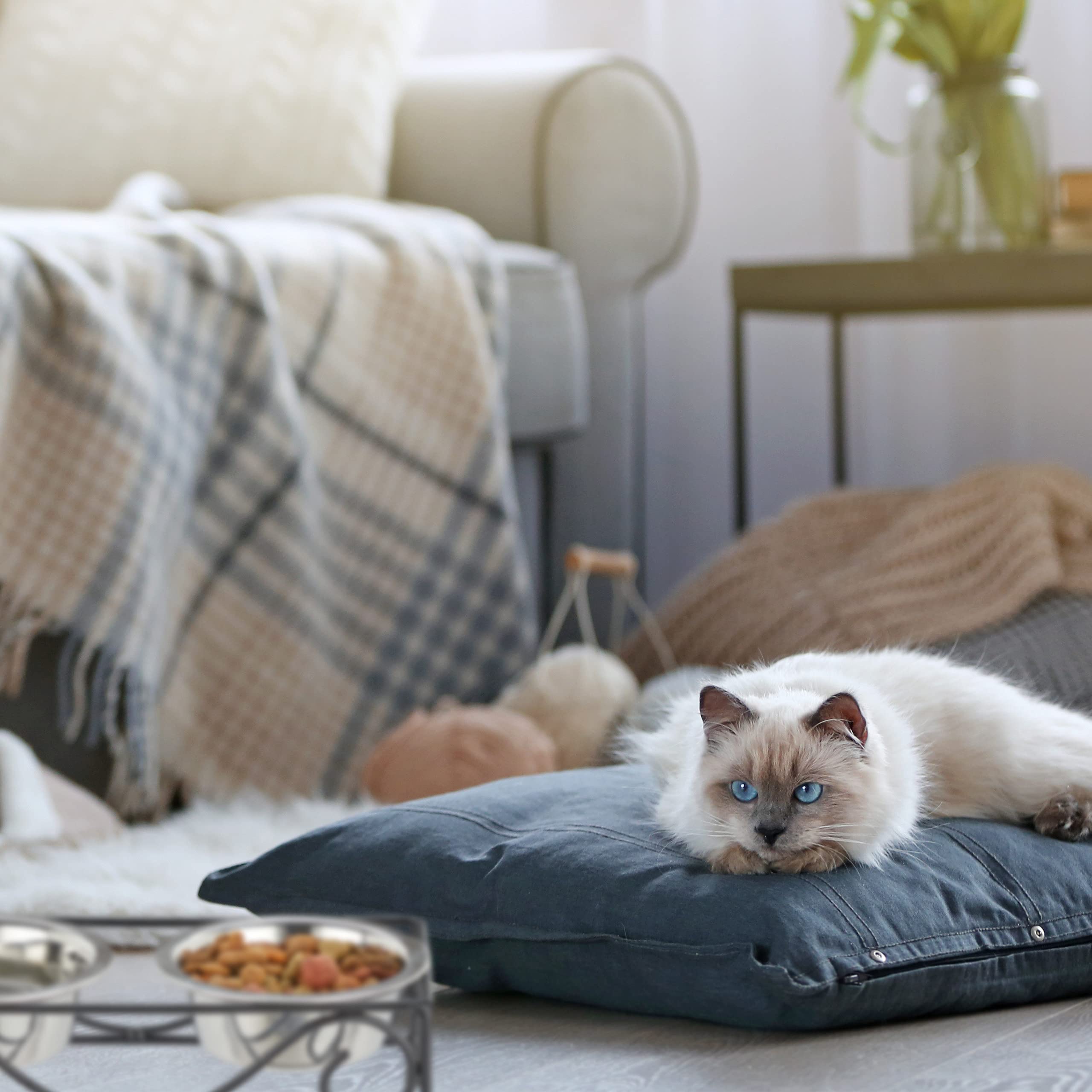 Relaxdays Porte-gamelles, pour Chiens et Chats, 2 écuelles, chacune ayant Un Volume de 300 ML, Noir/argenté