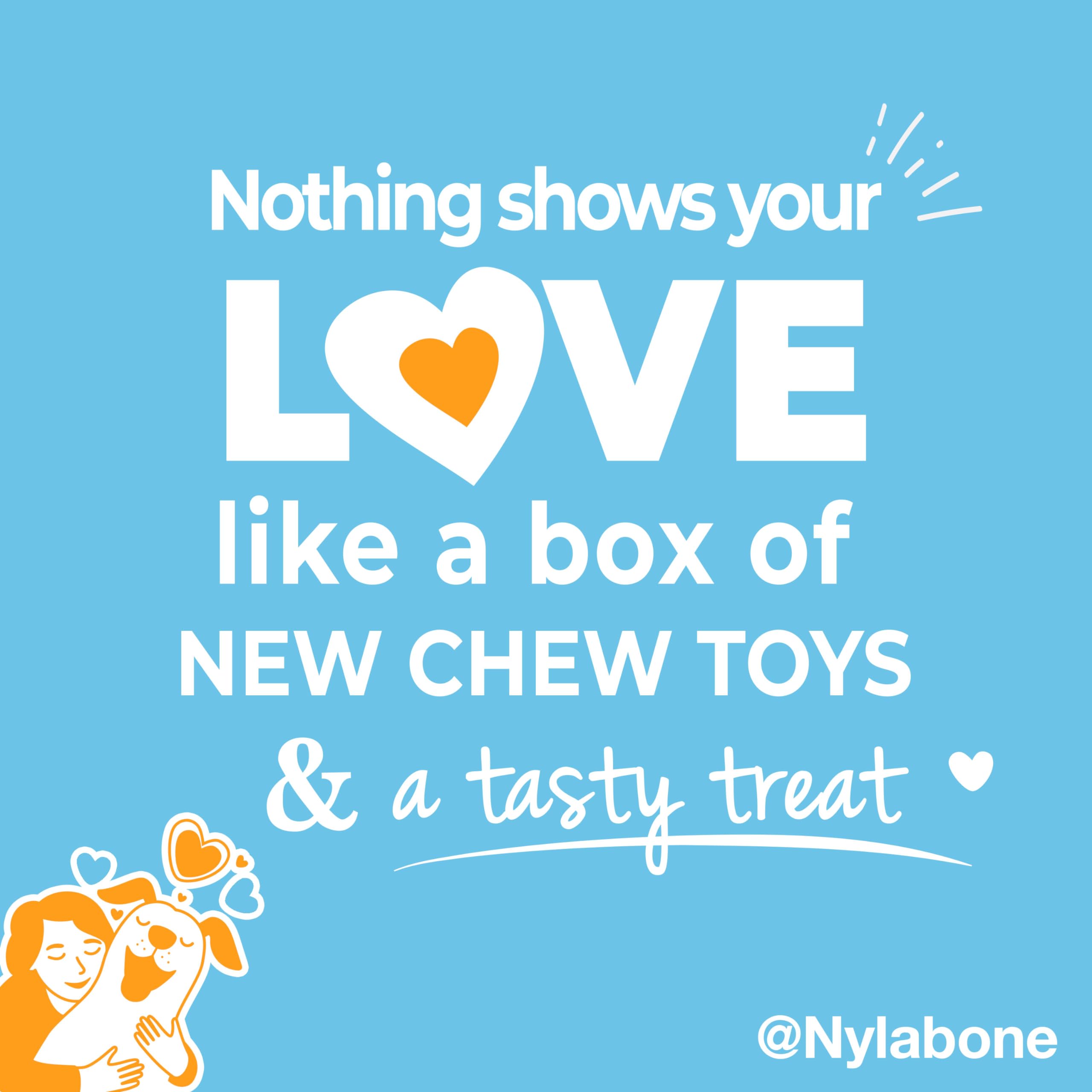 Nylabone Hundespielzeug-Geschenkbox, enthält 3 Starke Kauspielzeuge und 1 Hundeleckerli, Kauspielzeug für Welpen, klein/normal (4 Stück)