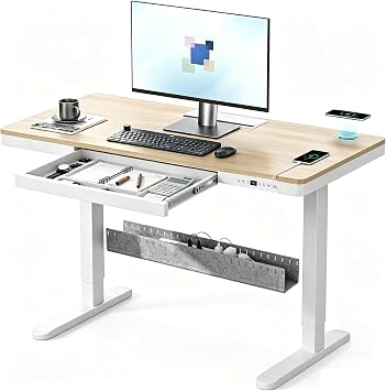 48" Electric Standing Desk with Drawer,Adjustable Sit Stand Desk,Light Wood
