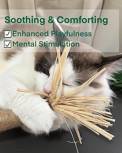 Miniatura 5 de Fokauiwo Juguetes para gatos de 14.96 pulgadas, enormes palos de vid plateada, juguete masticable natural grande para limpieza de dientes, palito de