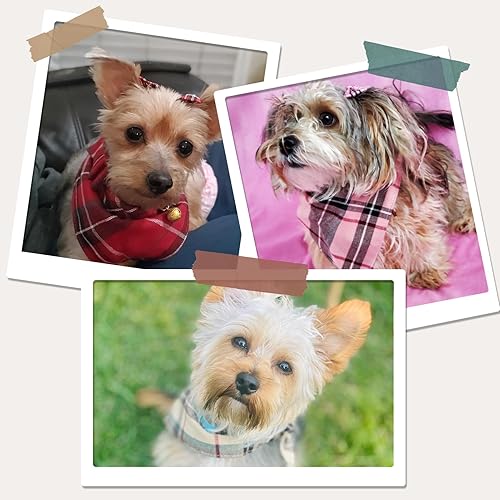 Miniatura 5 de PUPTECK Bow Tie Dog Collar with Bell - Classic Plaid Bandana Triangle Bibs Scarf Accessories with 2 Pack Pet Hair Bows