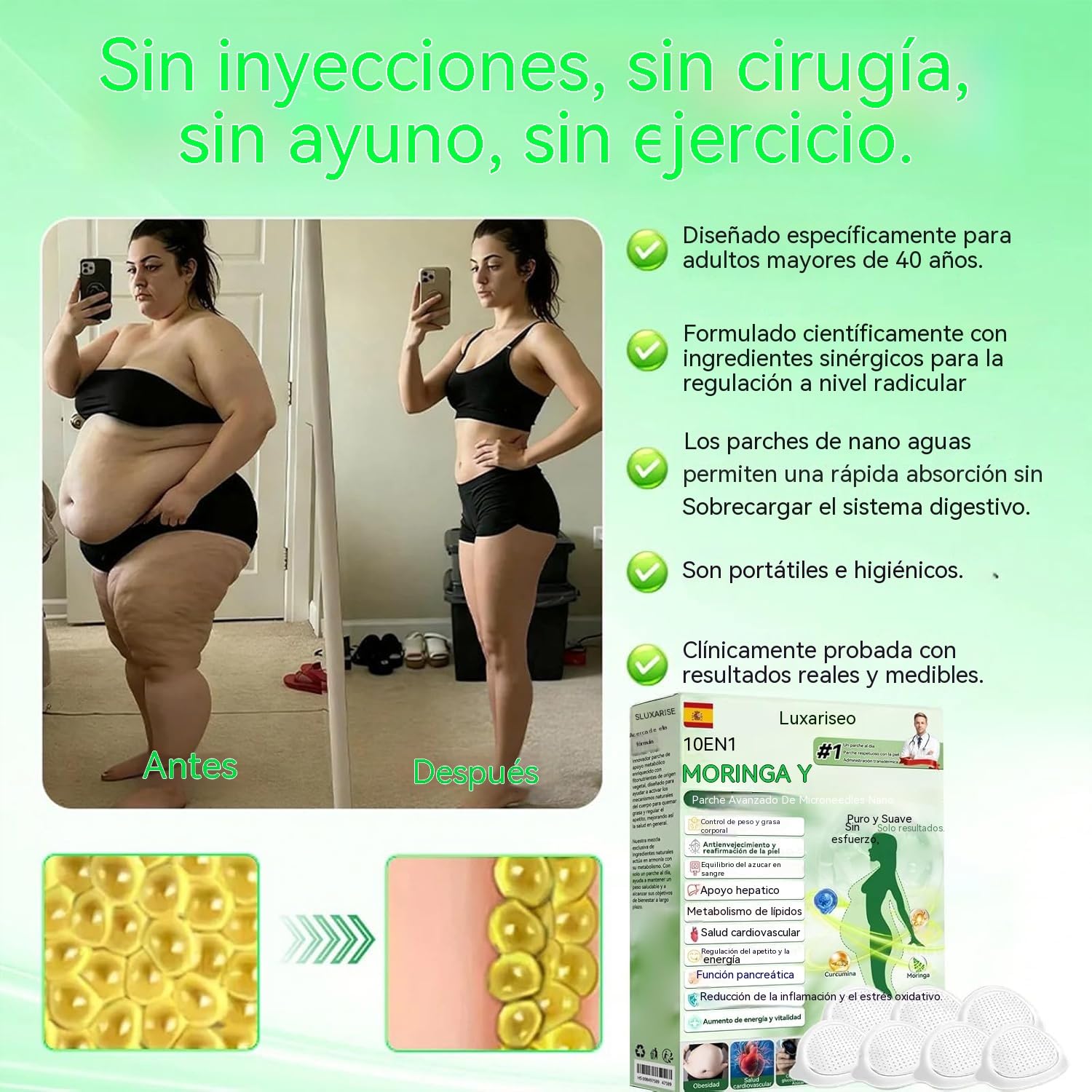 6 Cajas Moringa x Berberine Patch 10 en 1,parche avanzado de microagujas Moringa 10 en 1,Parche de Metabalance Profesional, Fácil de Aplicar, para hombres y mujeres (6-Cajas) - 4