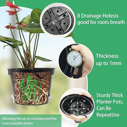 Miniatura 4 de RooTrimmer Paquete de 12 macetas, maceta de 8 pulgadas con platillo transparente, macetas de plástico para plantas de interior y puerta exterior