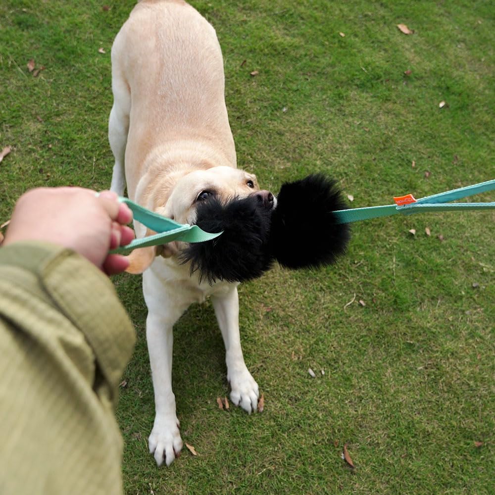 HOWGO Giocattolo per cani – Doppio manico per cani Bungee Chaser Toy 100% pelle di pecora, odore di pecora, giocattolo per tutte le razze (arancione, grande)