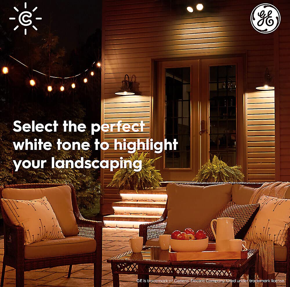 GE CYNC Smart LED-Glühbirne, farbwechselnde Lichter, Bluetooth- und WLAN-Lichter, funktioniert mit Alexa und Google Home, PAR38 Außenstrahler (1 Pack)