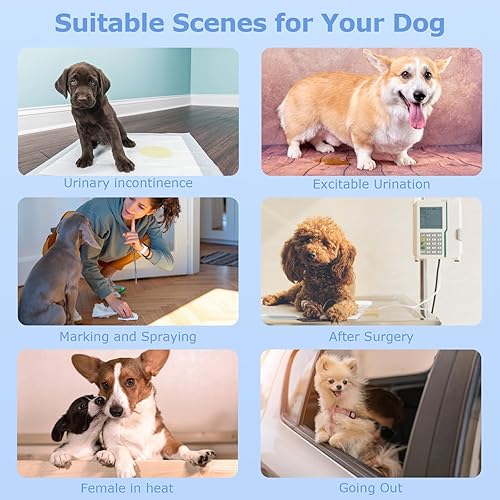 Miniatura 6 de Ambreview Pañales desechables para perras con cintura elástica, pañales para cachorros en período de celo, súper absorbentes, a prueba de fugas, 10