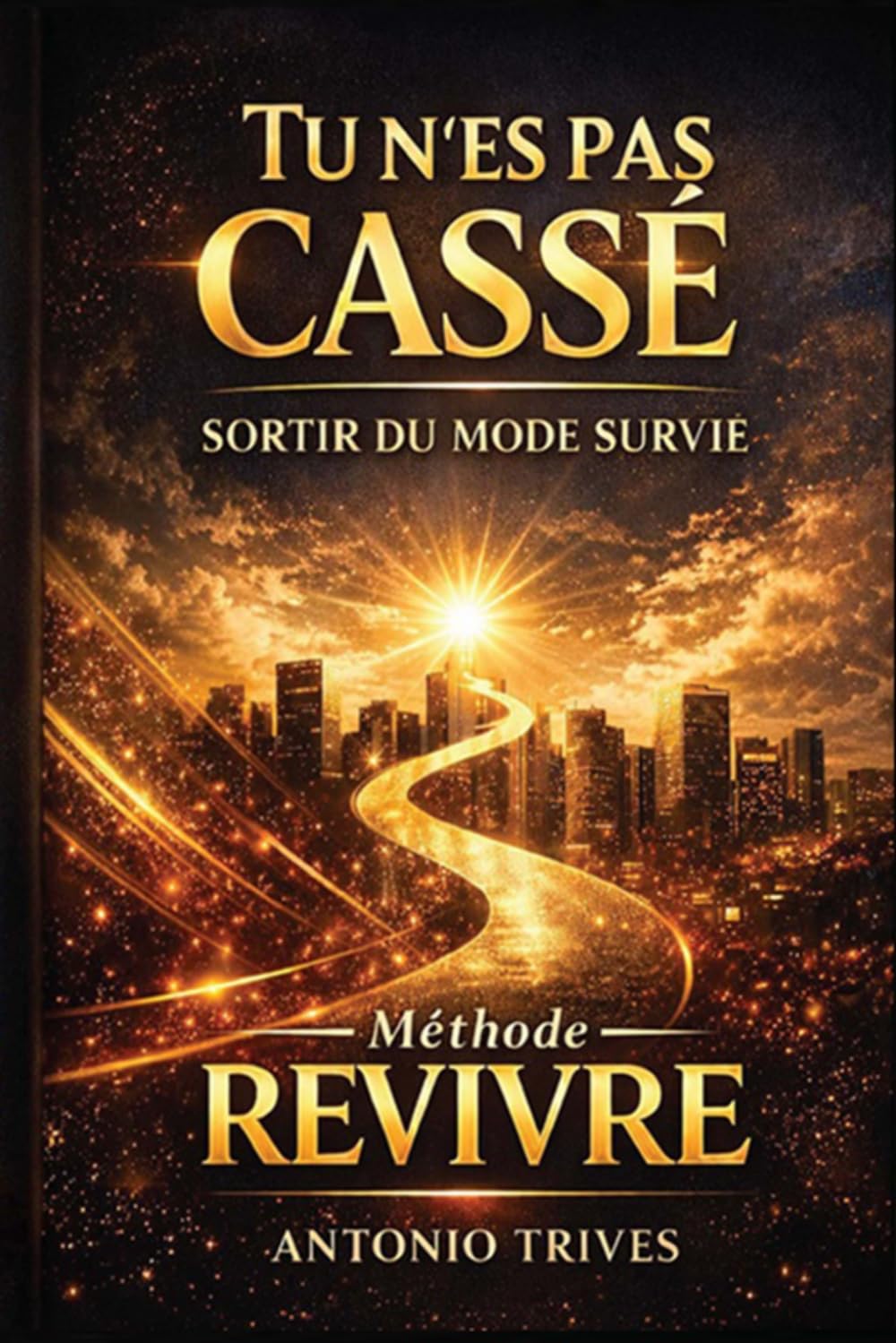 Tu n'es pas cassé: Sortir du mode survie