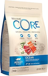 Wellness Core Adult Ocean, Dry Cat Food for Healthy Skin and Shiny Coat, Grain, High Meat Content, Salmon and Tuna, 300 g product image
