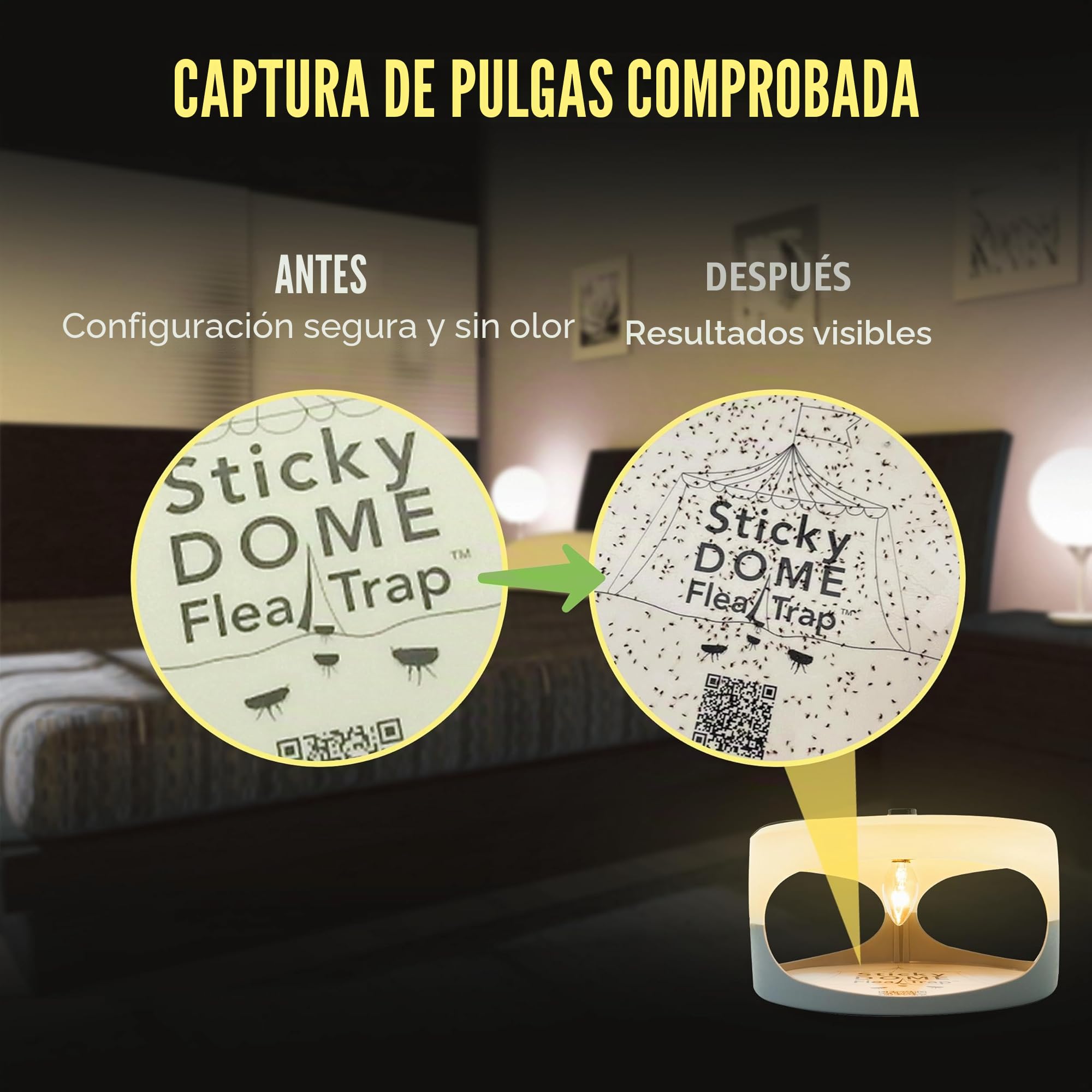 ASPECTEK Trampa para Pulgas, Sticky Dome™ Paquete de 2 Discos Adhesivos Uso en Interiores, Repelente Insectos - Repelente pulgas Humanos, Libre de Químicos, lampara antipulgas