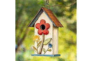 Timeworn White Beauty for Backyard Birds