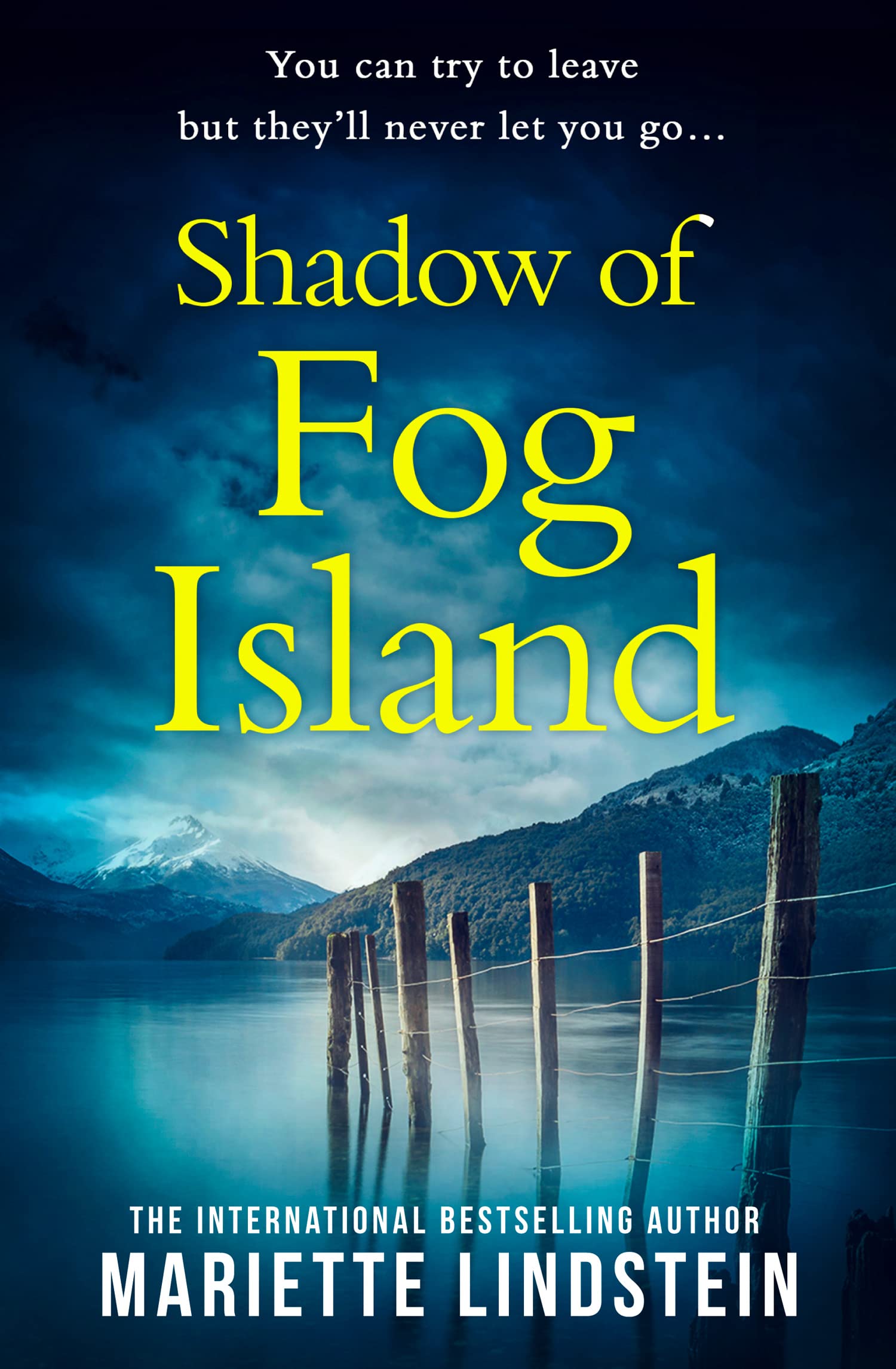 Shadow of Fog Island: From the international bestselling author comes the most chilling psychological thriller set in a deadly cult (Fog Island Trilogy) (Book 2)